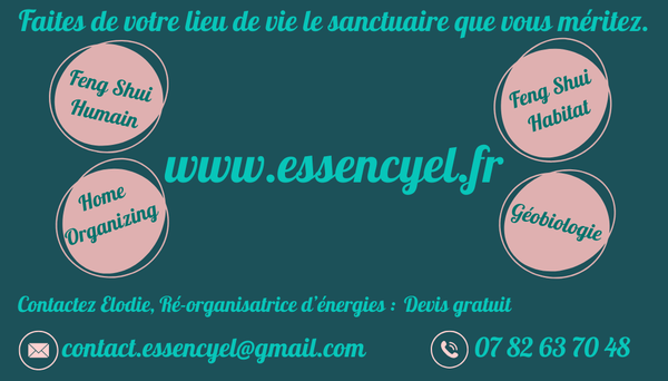 EssencyEl